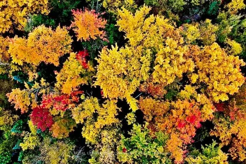 934190 Airport Road, ON L9W 6C4