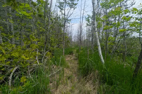 PCL 2-3 PT LT 2 Walter Charman Drive, ON N0H 1W0