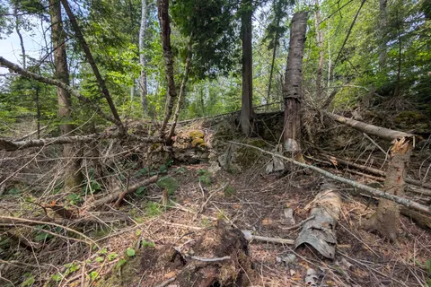 PCL 2-3 PT LT 2 Walter Charman Drive, ON N0H 1W0