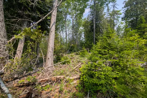 PCL 2-3 PT LT 2 Walter Charman Drive, ON N0H 1W0