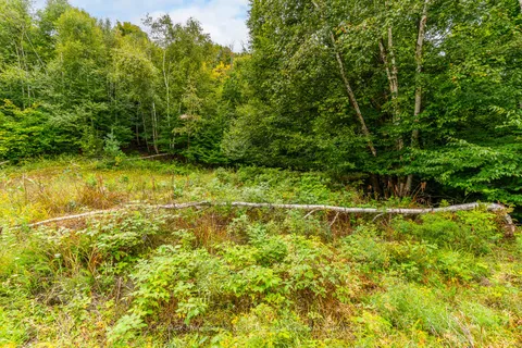 0 ADELINE Trail, ON K0M 1S0