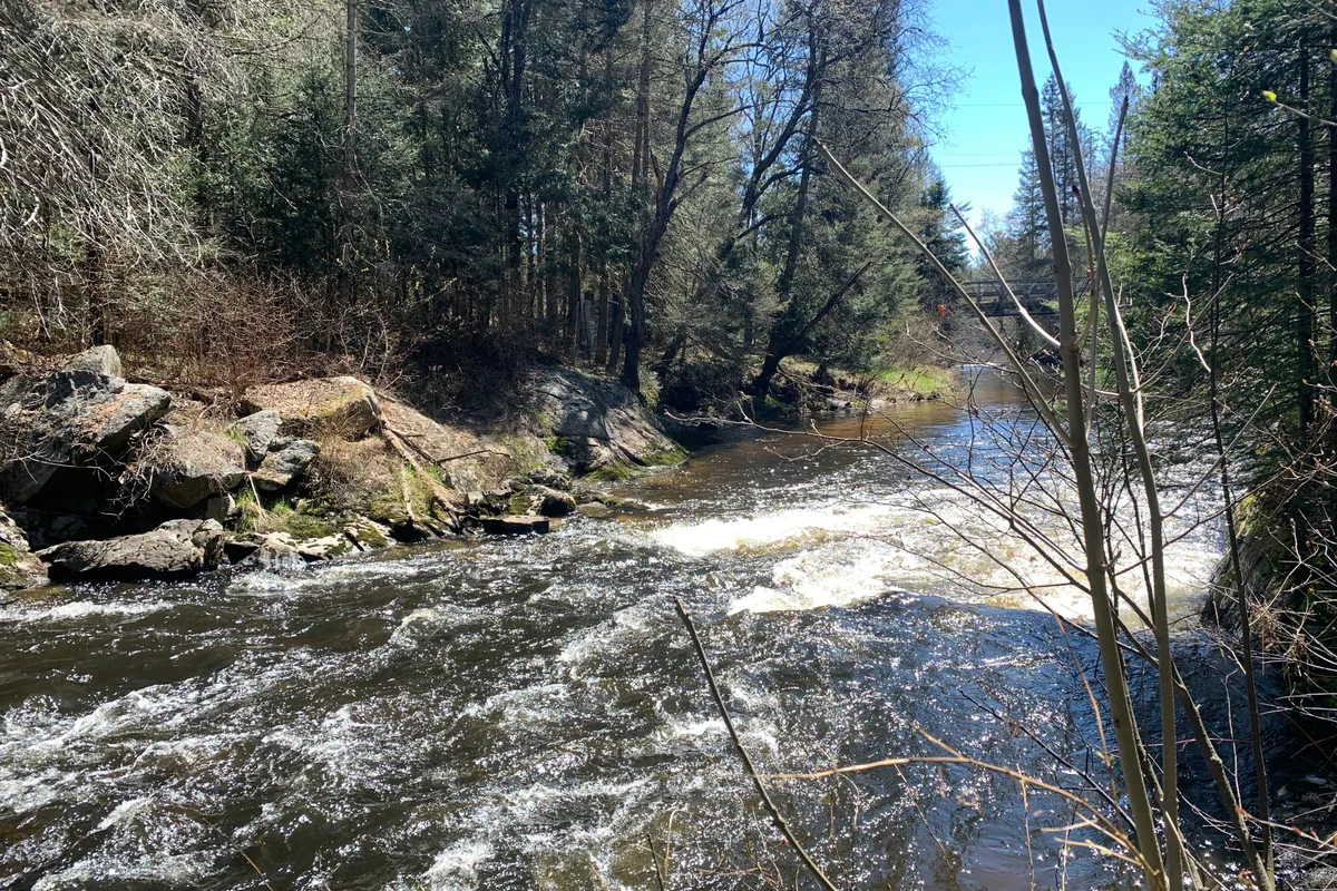 322 Sterling Falls Road, Strong, ON P0A 1Z0