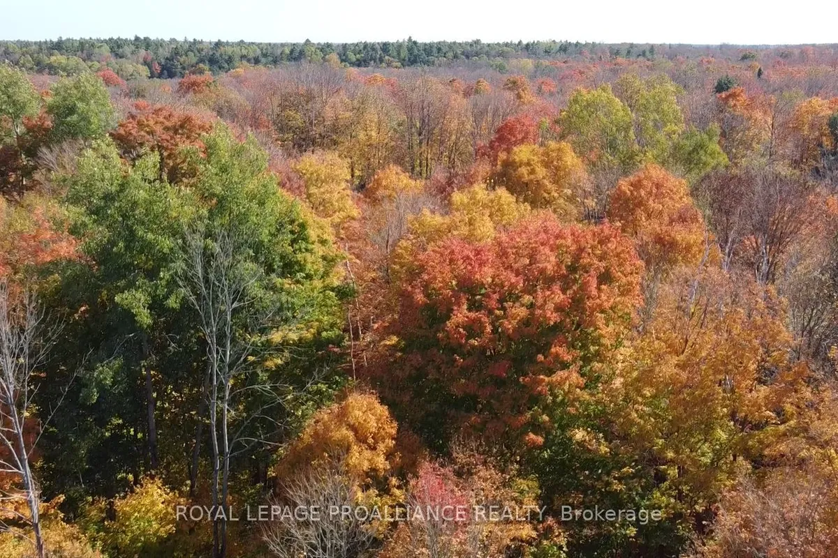 5069 Road 506 N/A, ON K0H 1K0