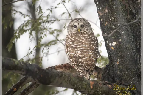 00 Poole Drive, ON K7H 0E5