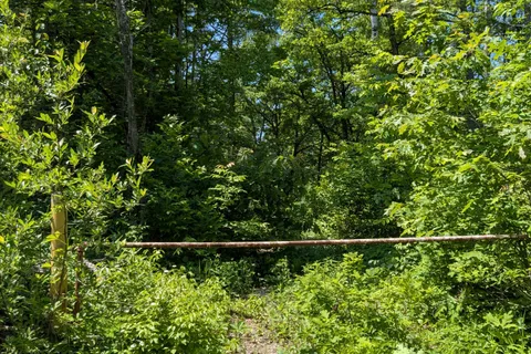 559 HONEY HARBOUR Road, ON L0K 1S0