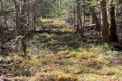 Con 1 Lot 4 N/A, ON K0L 2S0