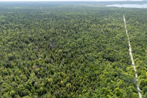 Lot 14 Boat Lake Road, ON N0H 2T0