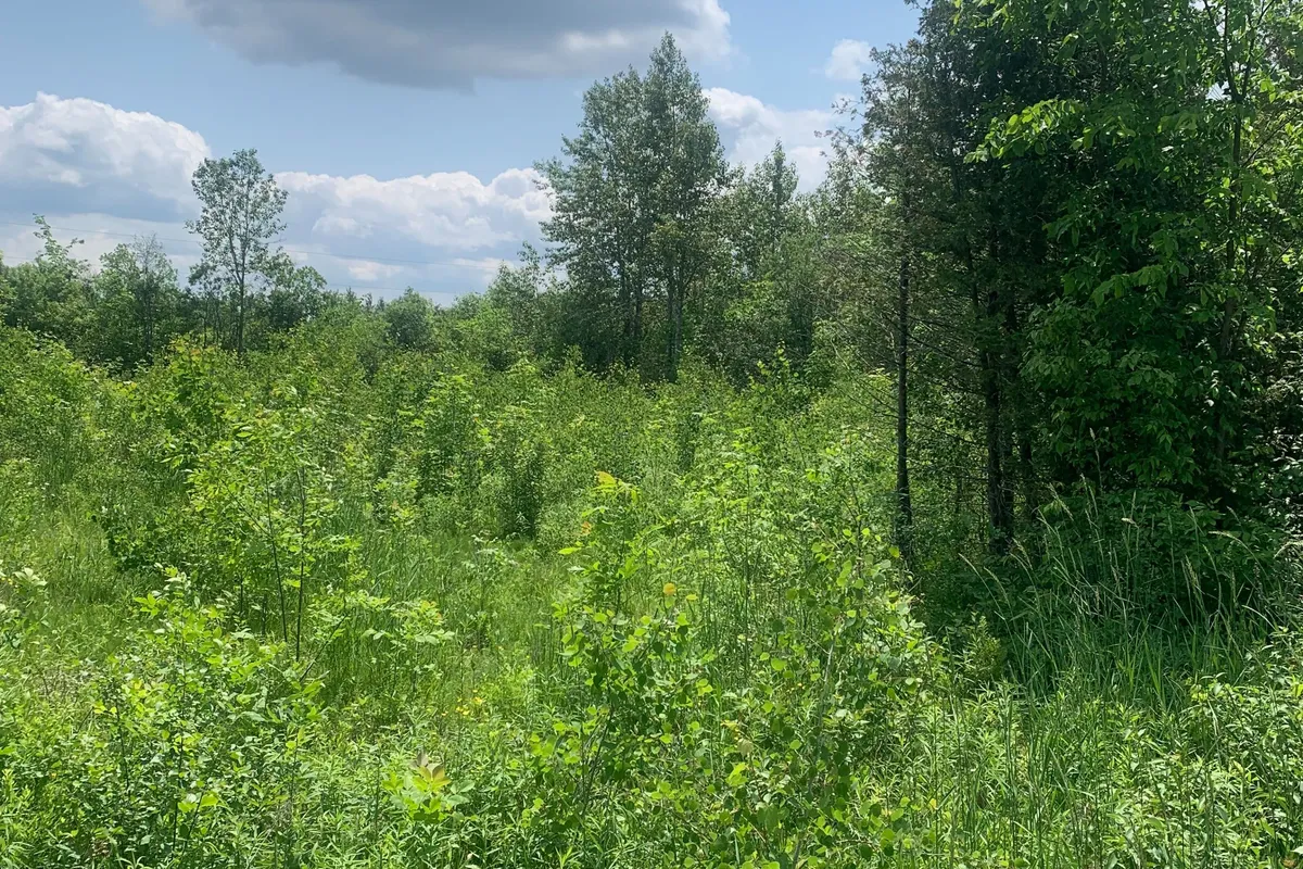 CON7LT2 Bolton Road, ON K0G 1N0