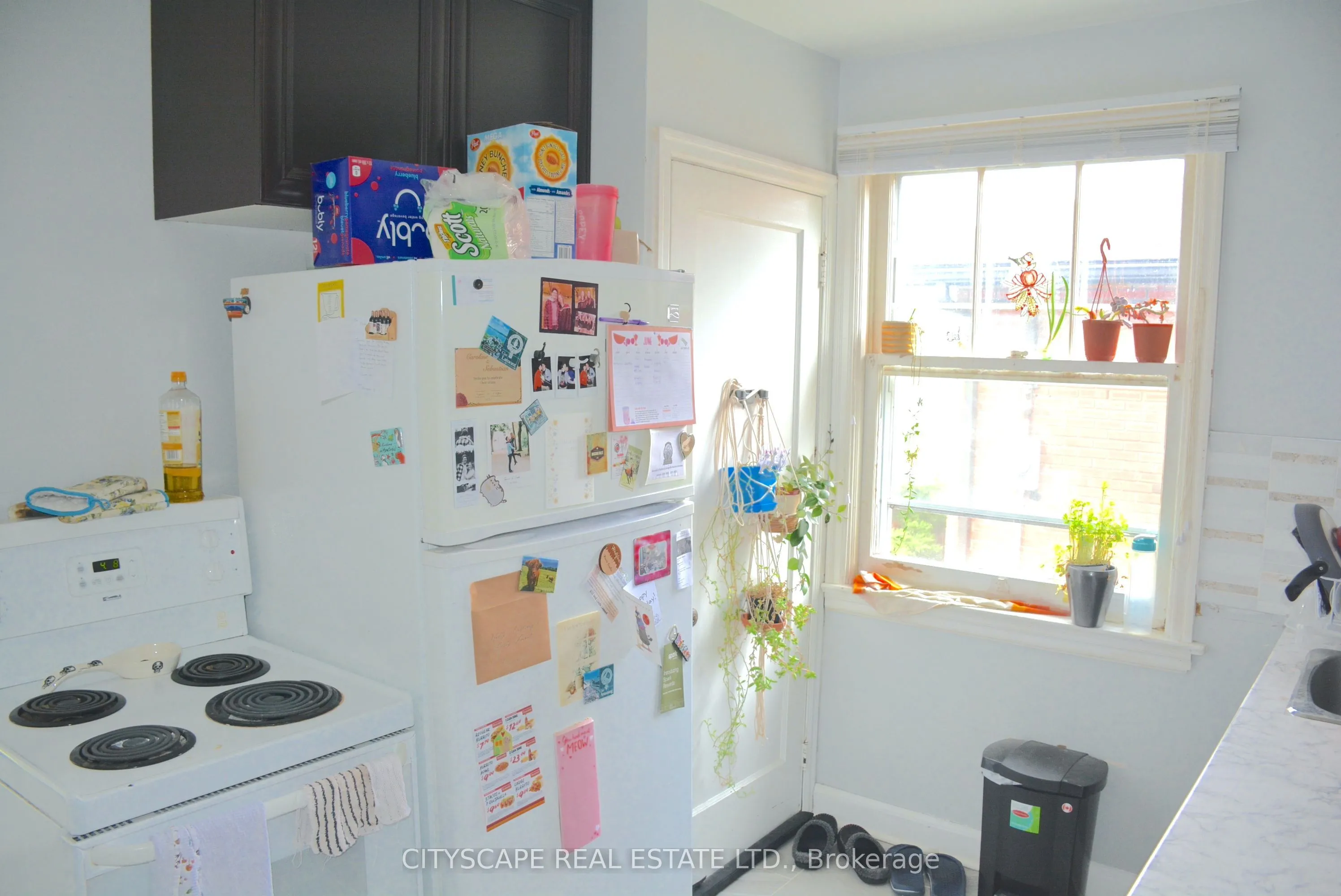 40 Elgin Street, ON N1R 5G9