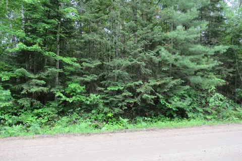 PT LT49 Old Moore Lake Road, ON K0J 2H0