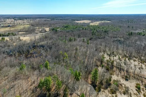 00 Con11 Pine Grove Road, ON K0K 2L0