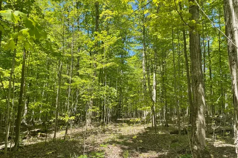 N/A Sunny Valley Road, ON N4K 5N8