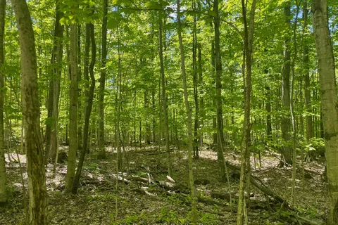 N/A Sunny Valley Road, ON N4K 5N8