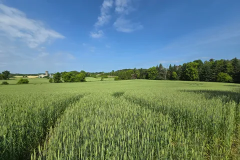 2194 Moira Road, ON K0K 2Y0