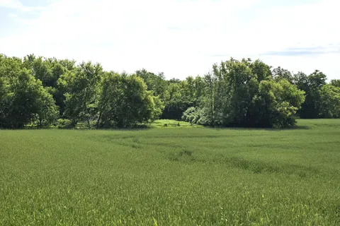 2194 Moira Road, ON K0K 2Y0