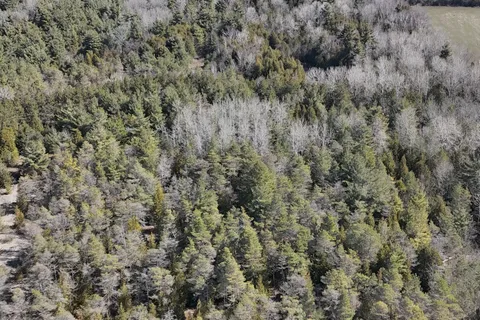 0 Slater Street, ON K9A 4J9