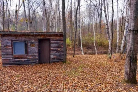 Lot 13 Trent River Road, ON K0L 1Z0