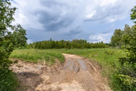 135389 Concession 8 Road, ON N0H 1K0