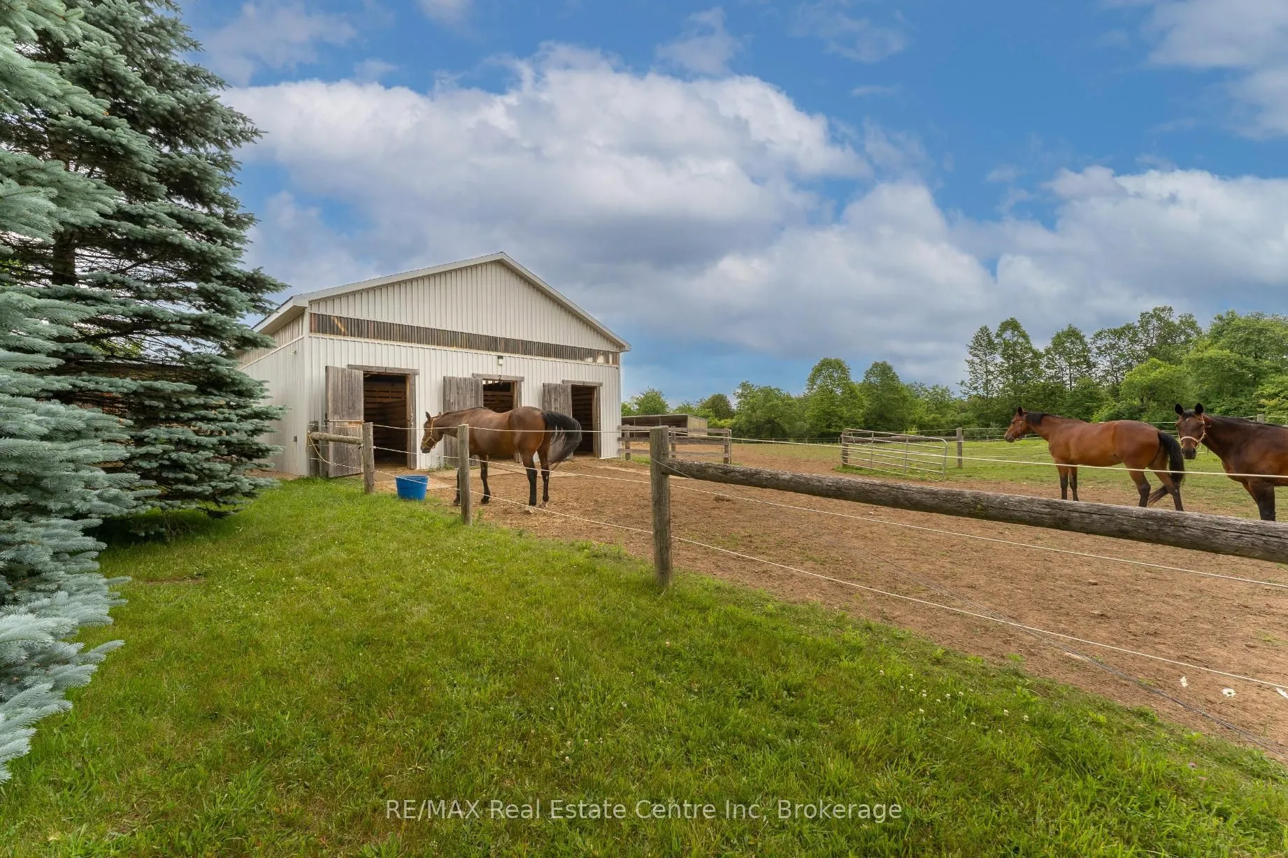 3988 Hwy 6 Highway, ON N0B 2J0