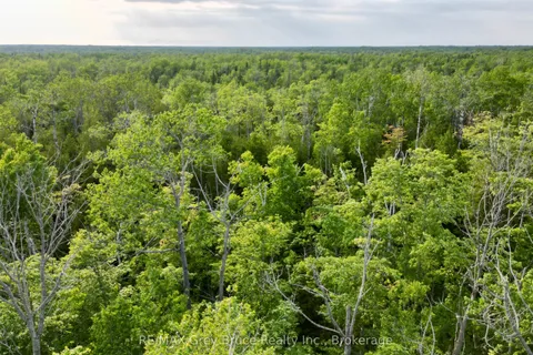 PT LT 27 CON 1 EBR PT 2 Barney's Boulevard, ON N0H 1Z0