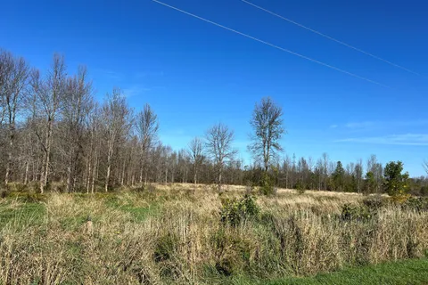 N 1/2 LT E Bruce Rd 33 Road, ON N0H 2C5