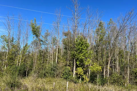 N 1/2 LT E Bruce Rd 33 Road, ON N0H 2C5