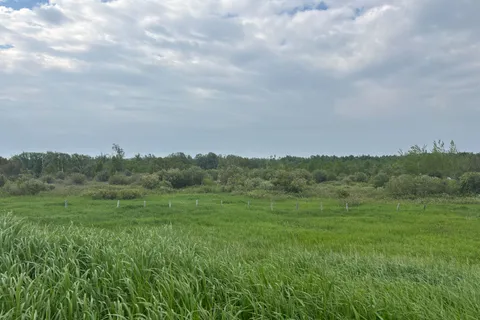 285396 CR 10 Road, ON L9W 0Z1