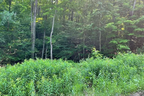 0 Coleman Lake Road, ON K0M 1S0