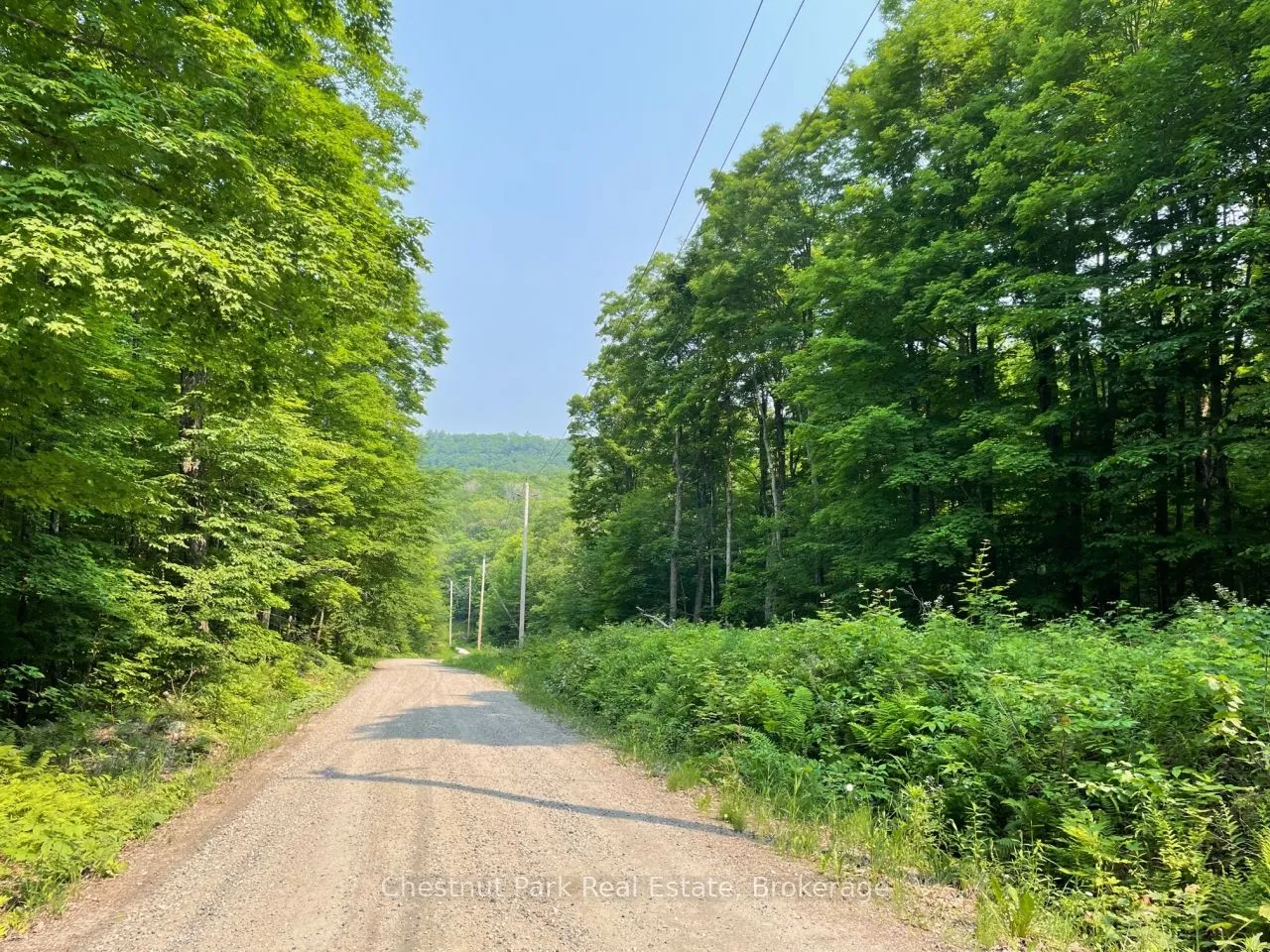 0 Coleman Lake Road, ON K0M 1S0