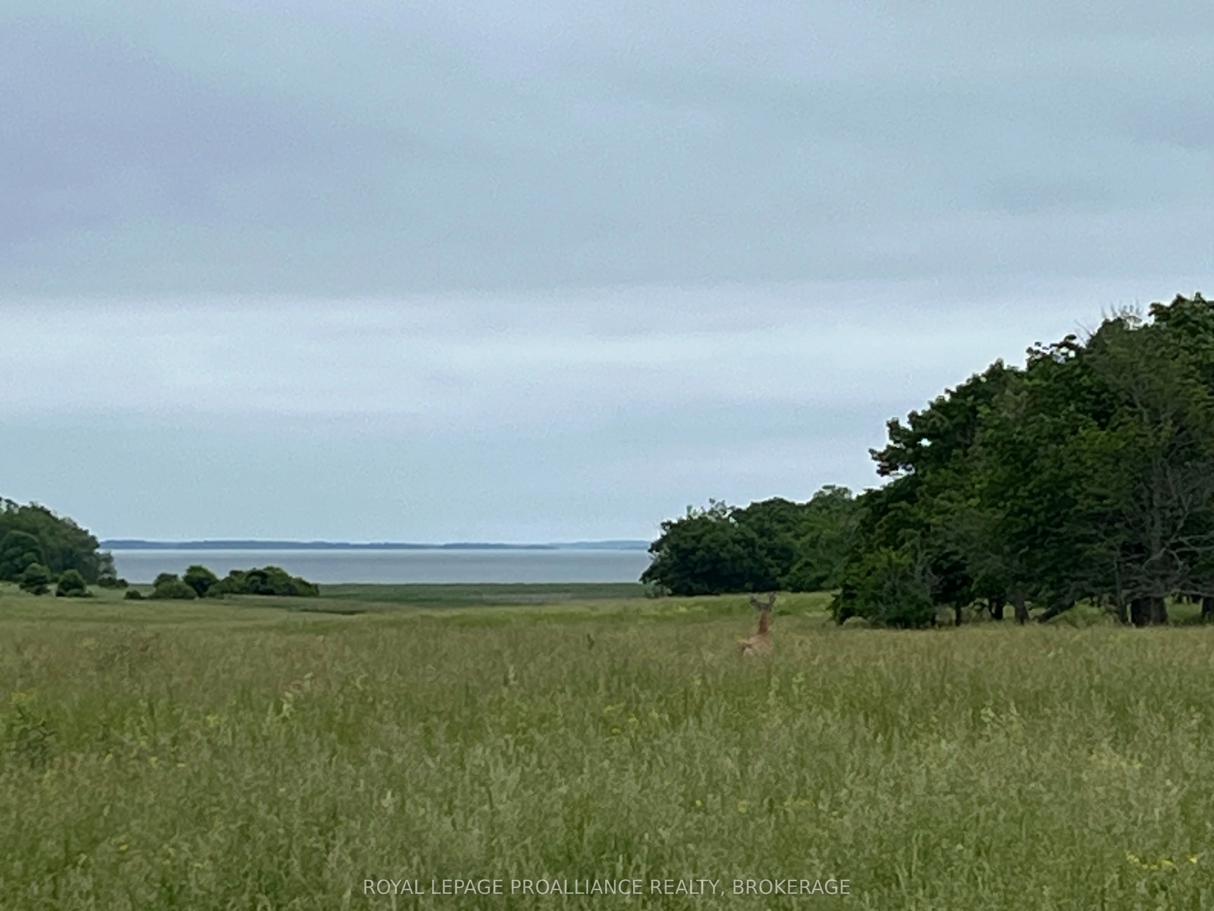 15 Irvine Bay Lane, ON K0H 2Y0