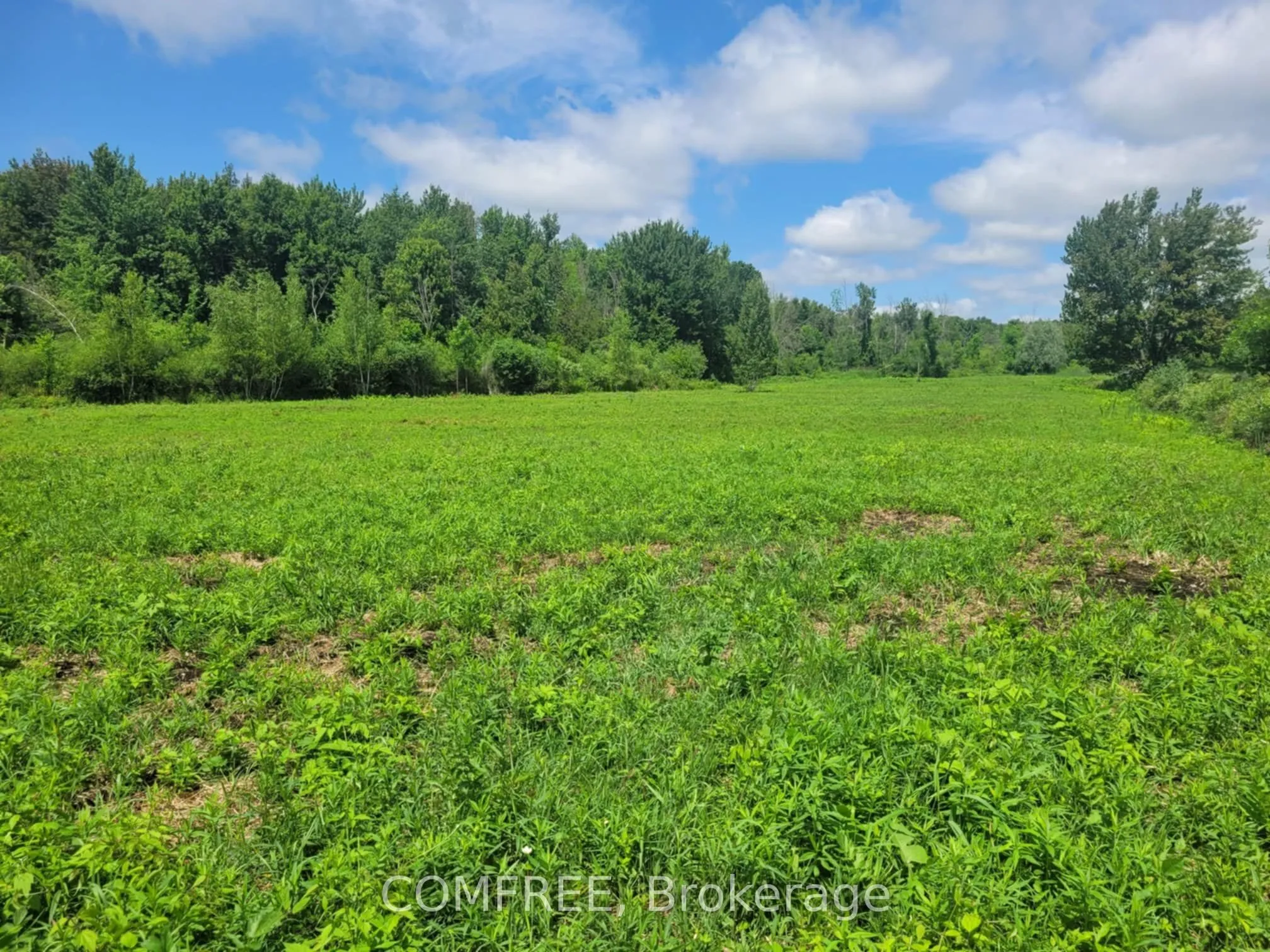 000 Willy Allan Road, ON K0C 1R0