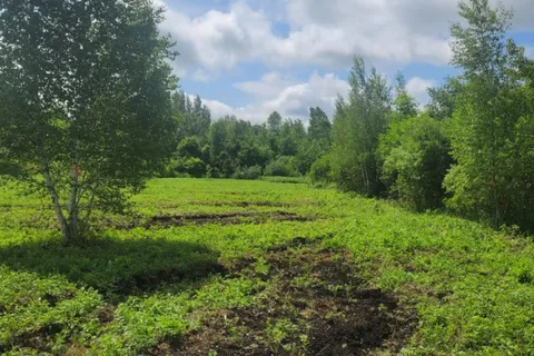 000 Willy Allan Road, ON K0C 1R0