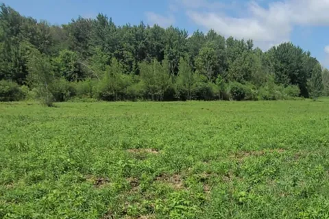 000 Willy Allan Road, ON K0C 1R0