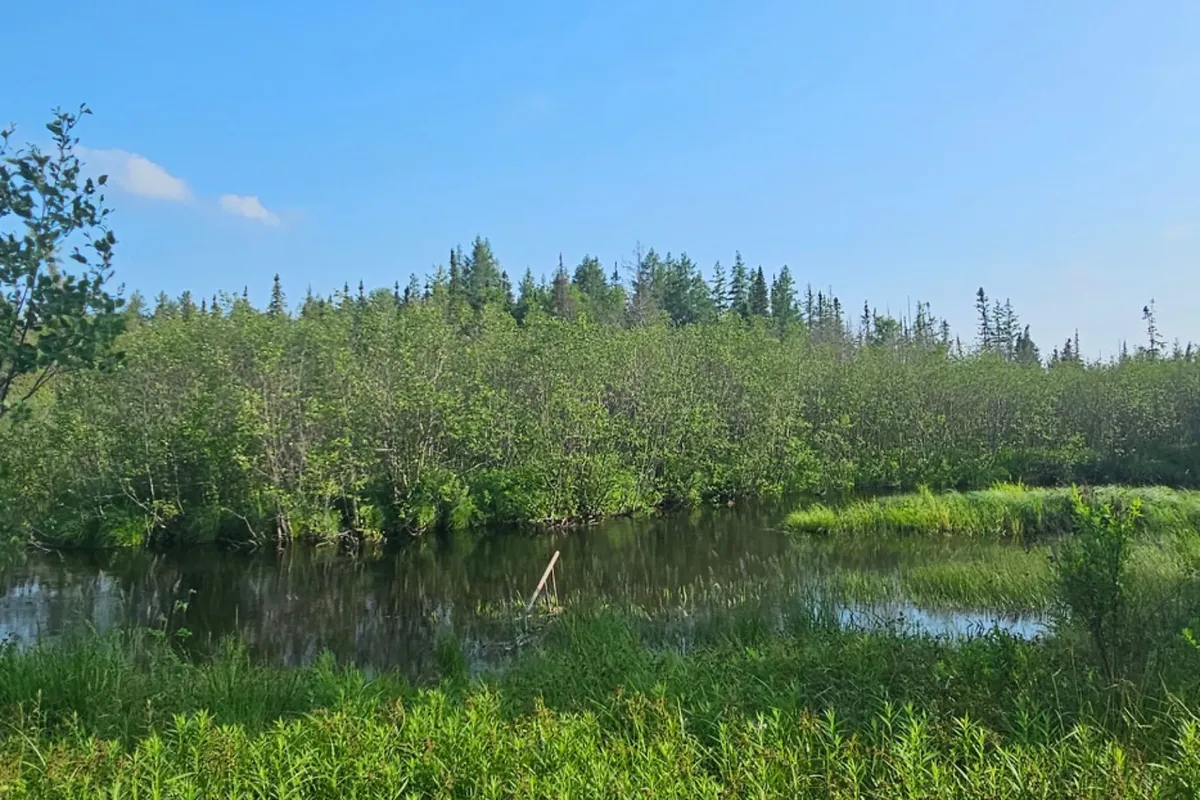 95 Fish Lake Road, ON P0A 1A0