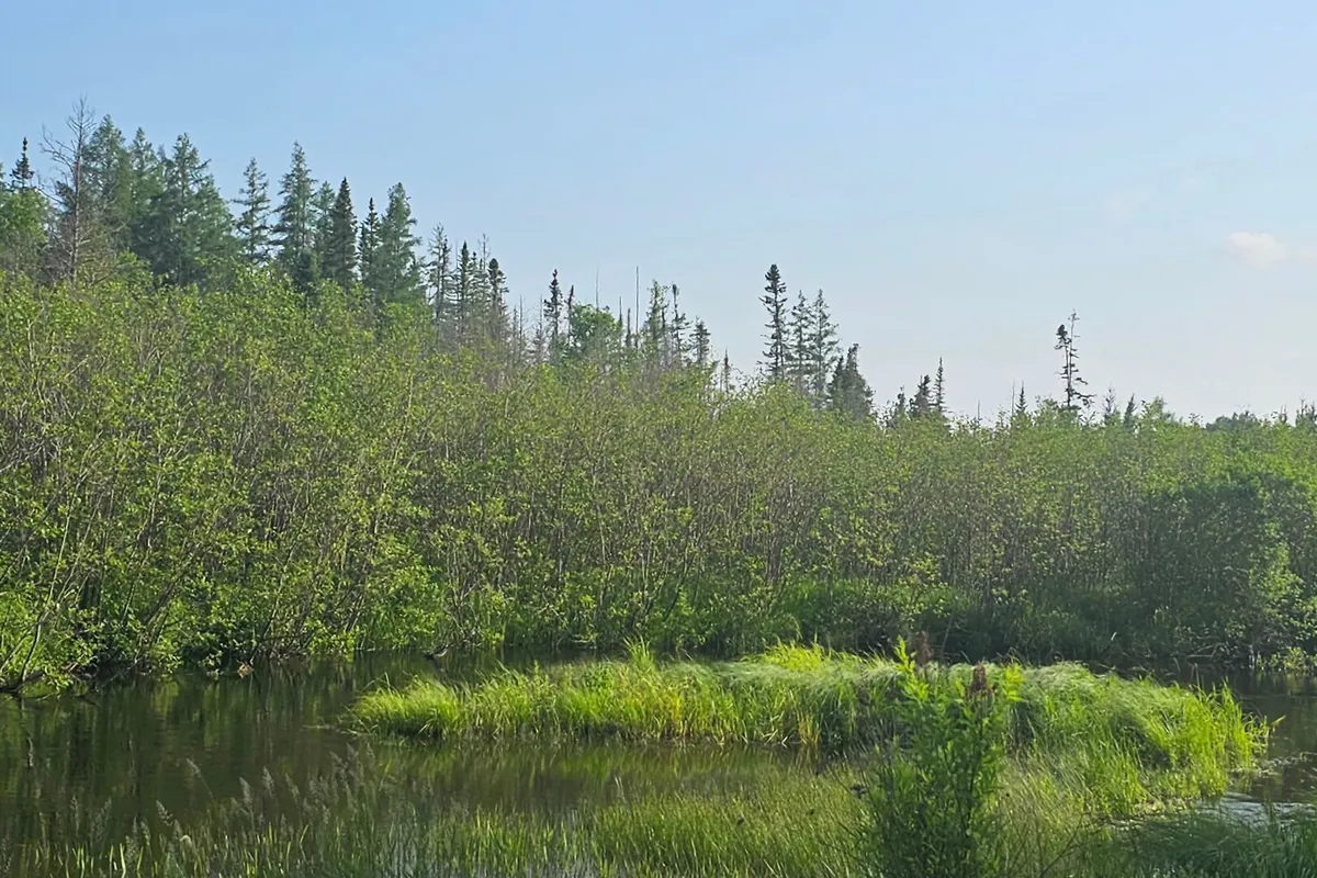 95 Fish Lake Road, ON P0A 1A0