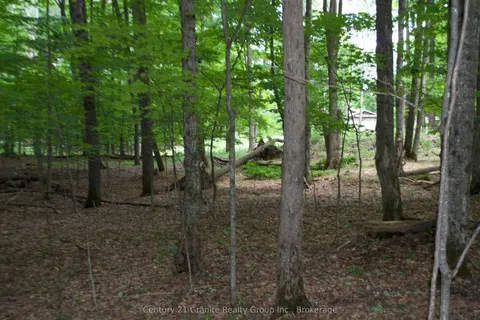 Lot 7 Ridgeview Road, ON K0M 1S0