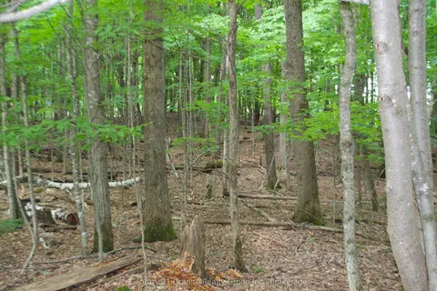 Lot 7 Ridgeview Road, ON K0M 1S0