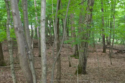 Lot 7 Ridgeview Road, ON K0M 1S0