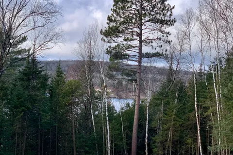 219 North Star Drive, ON P0H 1E0