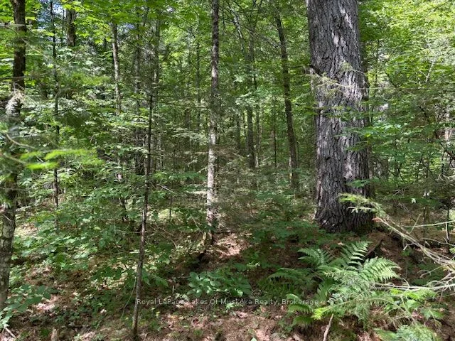 0 Forest Lake Road, ON P0A 1Z0