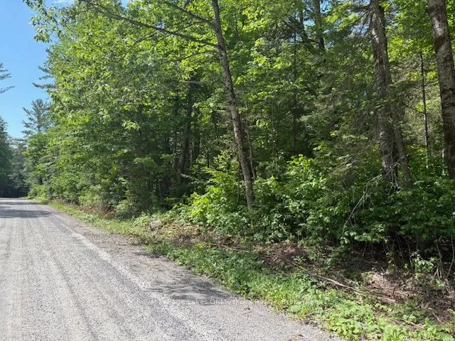 0 Forest Lake Road, ON P0A 1Z0