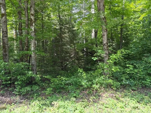 0 Forest Lake Road, ON P0A 1Z0