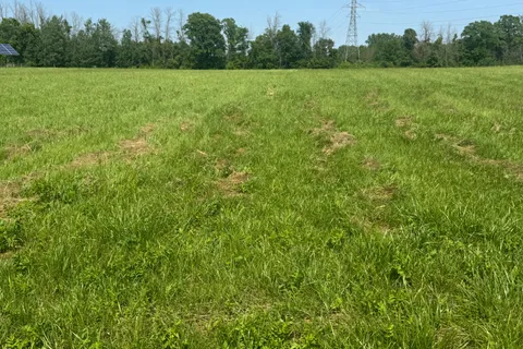 Lot 18 County 14 Road, ON K0C 1M0