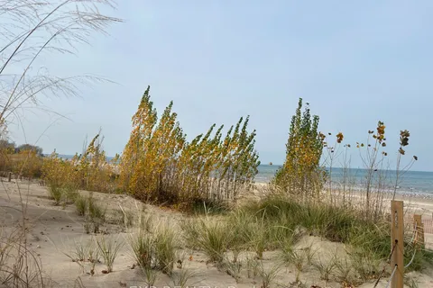 9995 Port Franks Estates Drive, ON N0M 2L0