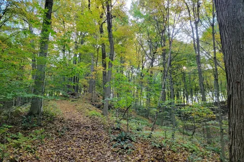 154&155 LOT N/A, ON L0S 1E6