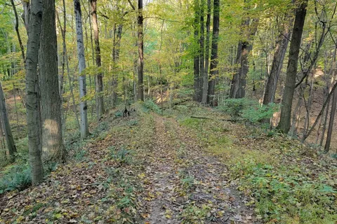 154&155 LOT N/A, ON L0S 1E6