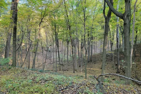 154&155 LOT N/A, ON L0S 1E6