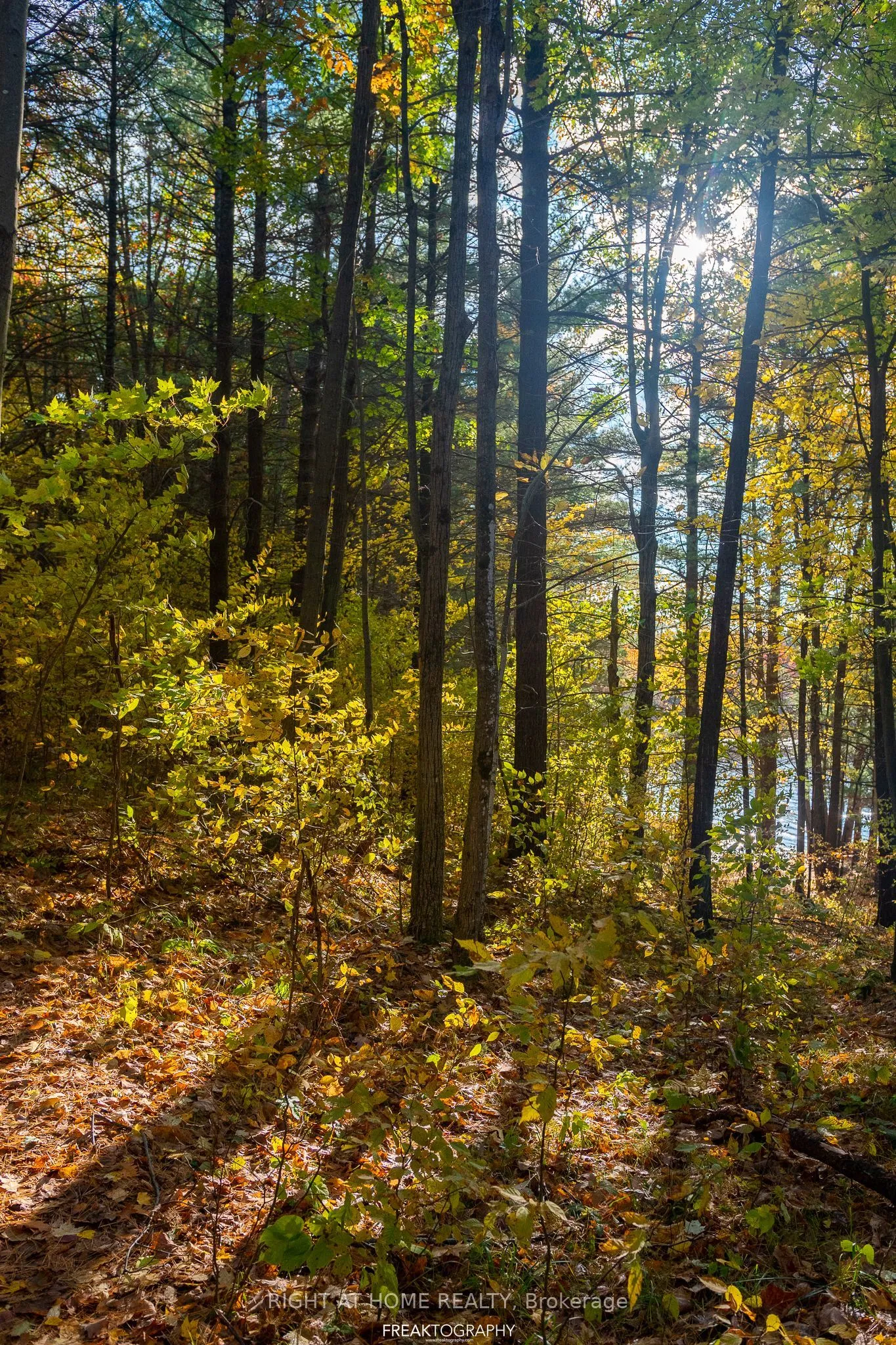 31099 Highway 7 Highway, ON K0H 1Z0