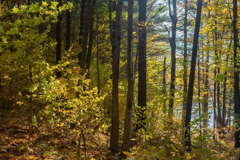 31099 Highway 7 Highway, ON K0H 1Z0