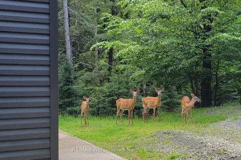 504 South Waseosa Lake Road, ON P1H 2N5